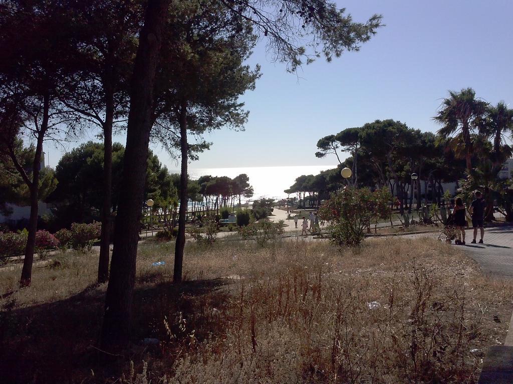 Apartamento La Rotonda C-116 Conil De La Frontera Kamer foto